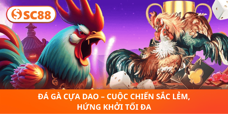 Đá Gà Cựa Dao – Cuộc Chiến Sắc Lẻm, Hứng Khởi Tối Đa